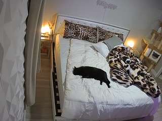 voyeurcam-whitneyoc-01