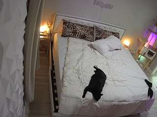 voyeurcam-whitneyoc-01