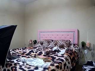 voyeurcam-whitneyoc-01