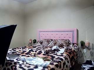 voyeurcam-whitneyoc-01