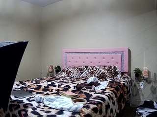 voyeurcam-whitneyoc-01