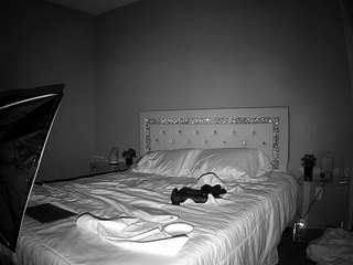 voyeurcam-whitneyoc-01