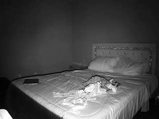 voyeurcam-whitneyoc-01