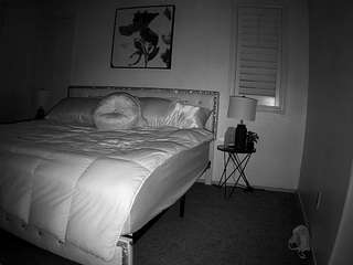 voyeurcam-whitne... Live Webcam on CamSoda