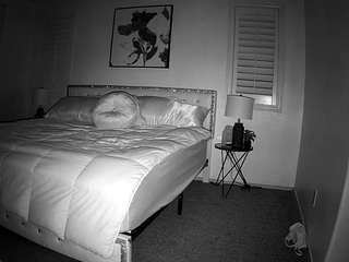 voyeurcam-whitne... Live Webcam on CamSoda