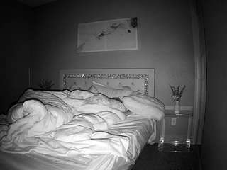 voyeurcam-whitneyoc-01