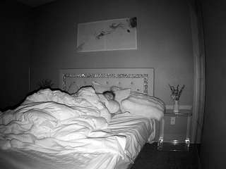 voyeurcam-whitneyoc-01