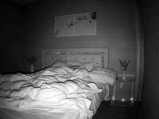 voyeurcam-whitneyoc-01