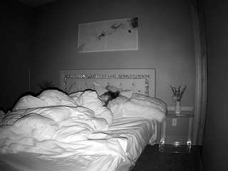 voyeurcam-whitneyoc-01