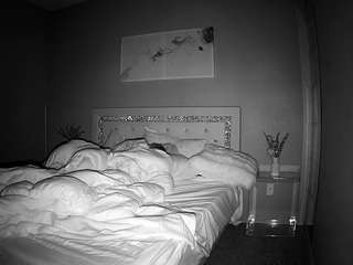 voyeurcam-whitneyoc-01