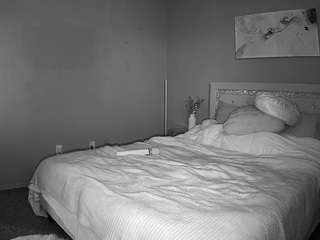 voyeurcam-whitneyoc-01