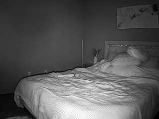 voyeurcam-whitneyoc-01