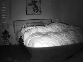 voyeurcam-whitneyoc-01