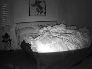 voyeurcam-whitneyoc-01