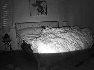 voyeurcam-whitneyoc-01