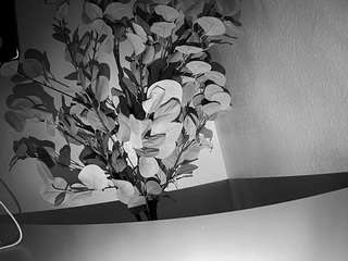 voyeurcam-whitneyoc-01 live cam profile