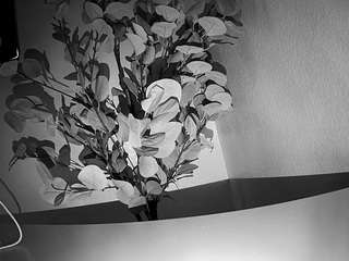 voyeurcam-whitneyoc-01 live cam profile