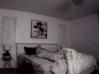 voyeurcam-whitneyoc-01