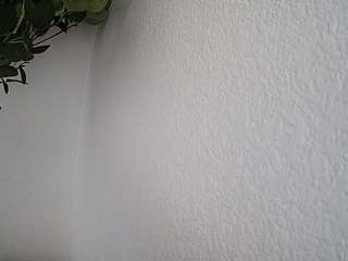 voyeurcam-whitneyoc-01 Toys live webcam