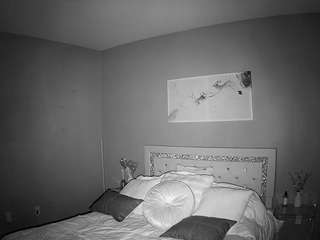 voyeurcam-whitneyoc-01