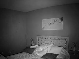 voyeurcam-whitneyoc-01 Live Webcam on CamSoda