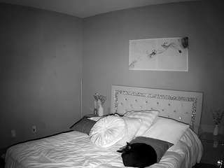 voyeurcam-whitneyoc-01 live cam profile