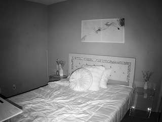 voyeurcam-whitneyoc-01