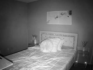 voyeurcam-whitneyoc-01