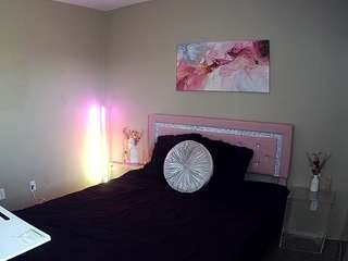 voyeurcam-whitneyoc-01