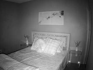 voyeurcam-whitneyoc-01