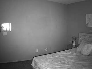 voyeurcam-whitneyoc-01