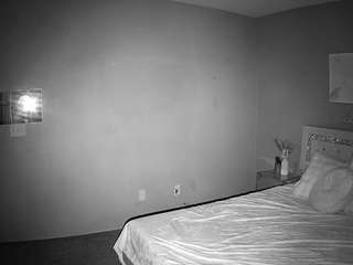 voyeurcam-whitneyoc-01