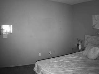 voyeurcam-whitneyoc-01