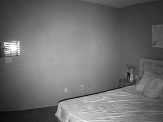 voyeurcam-whitneyoc-01