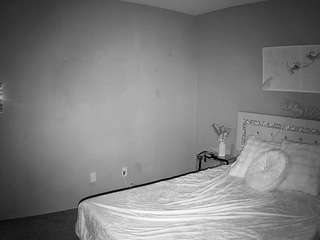 voyeurcam-whitneyoc-01