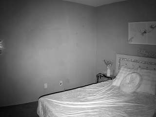 voyeurcam-whitneyoc-01