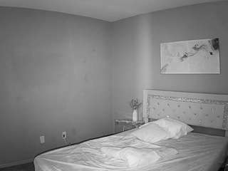 voyeurcam-whitneyoc-01