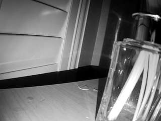 voyeurcam-whitneyoc-01