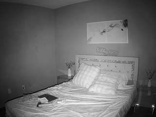 voyeurcam-whitneyoc-01