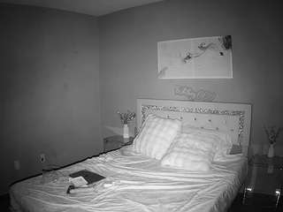 voyeurcam-whitneyoc-01