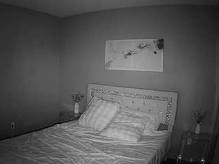 voyeurcam-whitneyoc-01