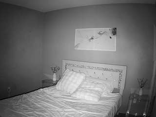 voyeurcam-whitneyoc-01