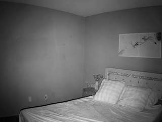 voyeurcam-whitneyoc-01