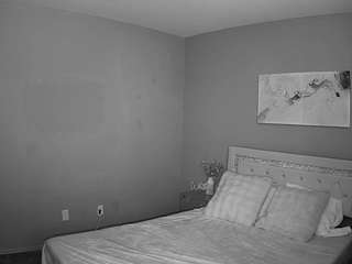 voyeurcam-whitneyoc-01