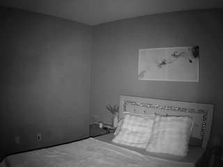voyeurcam-whitneyoc-01