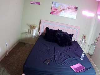 voyeurcam-whitneyoc-01