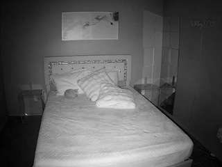 voyeurcam-whitneyoc-01