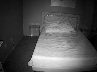 voyeurcam-whitneyoc-01