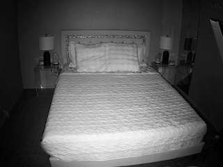 voyeurcam-whitneyoc-01