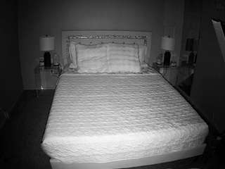 voyeurcam-whitneyoc-01